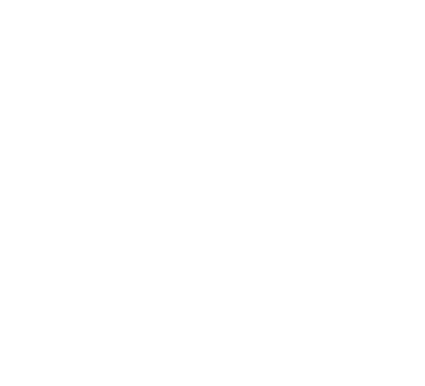 Maa Excellence